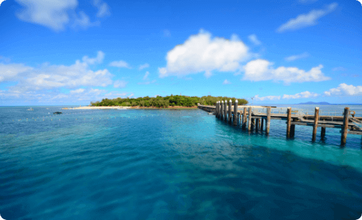 Duis pretium gravida enim